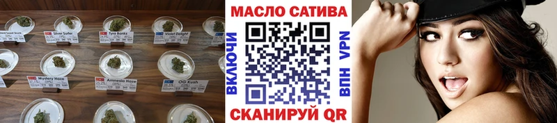 KRAKEN зеркало  Сунжа  ТГК THC oil 