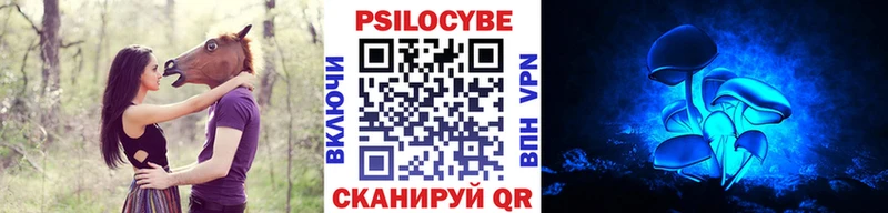 Псилоцибиновые грибы прущие грибы  Сунжа 